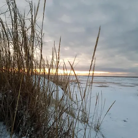 Ranta-sumppu 7 Loma-asunnot