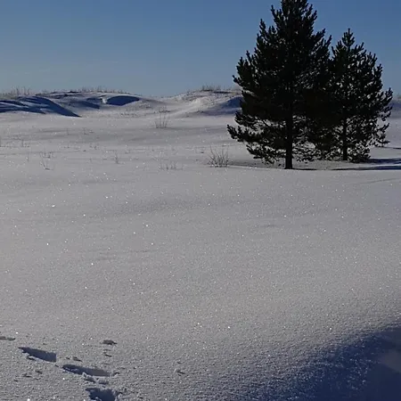 Ranta-sumppu Moekki 7